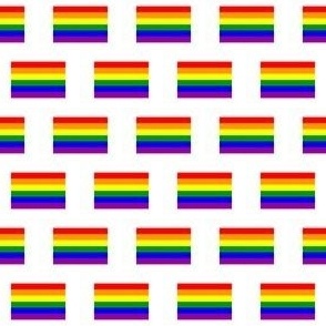 MINI Pride flag fabric - minimal pride design