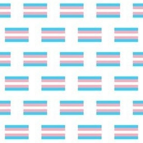 MINI trans flag fabric - pride flag, lgbtq