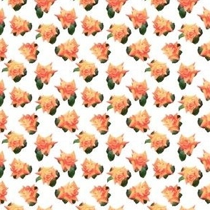 Orange watercolor rose print - mini