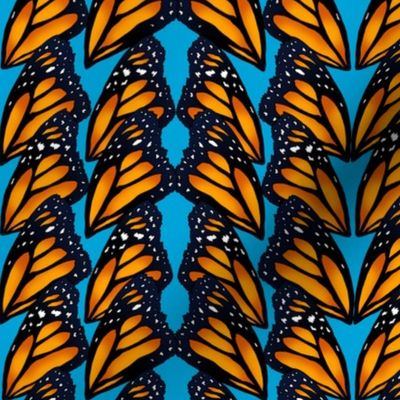 Monarch Butterfly Wings (small scale) 