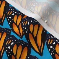 Monarch Butterfly Wings (small scale) 