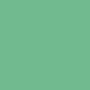 Plain Solid Green Colour #70BA8E