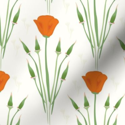 California Poppy