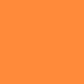 Bright Tangerine Orange Solid Colors #ff8b3a