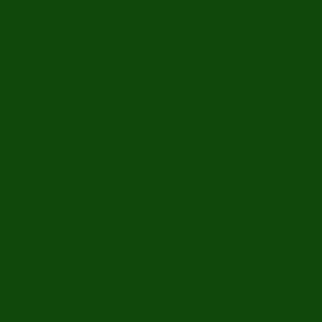 Forest Green Dark Green Christmas Green #0f480a