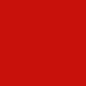 Rich Medium Red Solid Color #c9100c