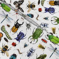 A Bug's Life - Watercolor Bug and Insects, Summer
