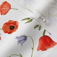 Watercolor wildflowers. Poppies and bells
