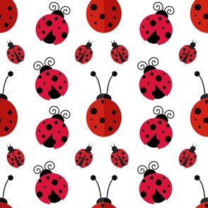 Lady Bugs