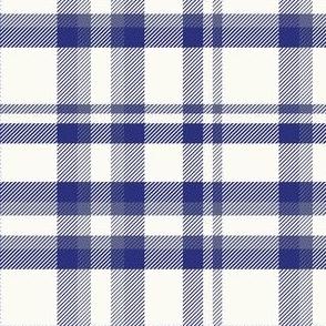 'Patriotic Plaid' in Navy and Ivory