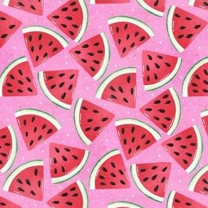 Watermelon Wedges | Light Pink