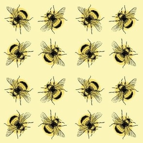 Bumblebee Dance
