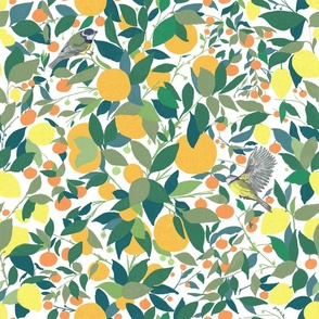 Agrumeto with Lemons, Oranges, Tangerines and Birds, Small Scale, White Background
