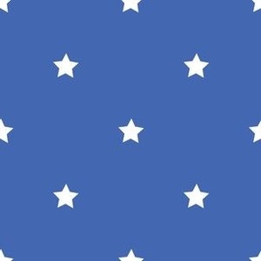 White regular star print on royal blue - small