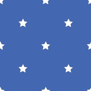 White regular star print on royal blue - large