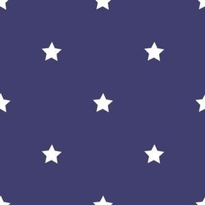 White regular star print on navy - small