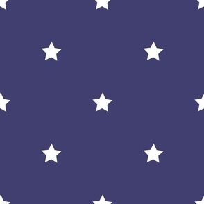 White regular star print on navy - large