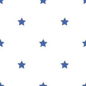 Royal blue regular star print on white - small