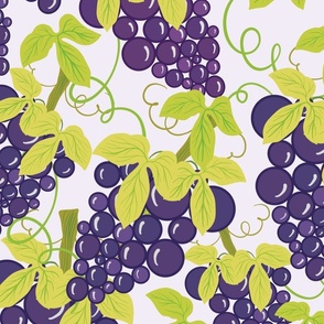 Grapes and Vines