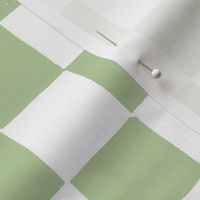 Soft Green and White Checker Print copy