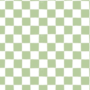 Soft Green and White Checker Print copy
