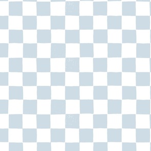 Soft Blue and White Checker Print copy
