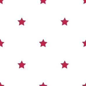 Viva Magenta regular star print on white - large