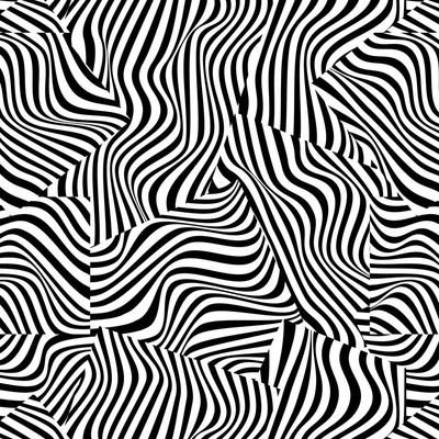 zebra wallpaper