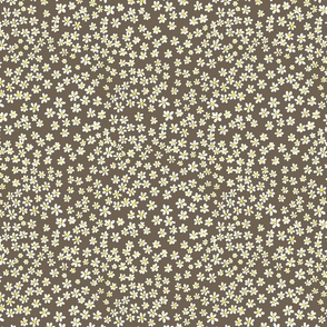 (S) Tiny quilting floral - small white flowers on Bark brown - Petal Signature Cotton Solids coordinate
