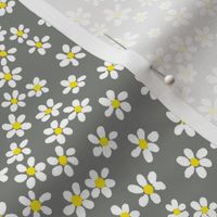 (S) Tiny quilting floral - small white flowers on Pewter gray - Petal Signature Cotton Solids coordinate