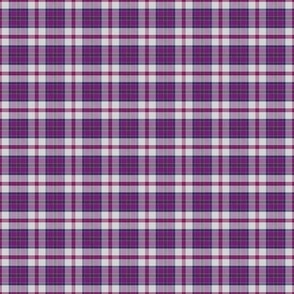 Small Summer Plaid Purple Red White