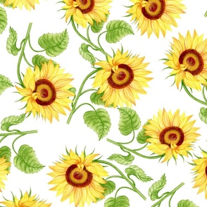 Sunflowers on a white background 6, watercolour illustration. Seamless floral pattern-239. 