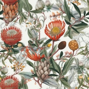 Australian Flora, Waratah and Eucalyptus 