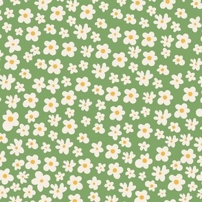 Spontaneous Daisies Garden_Green