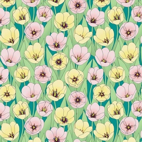 pink & yellow tulips on teal