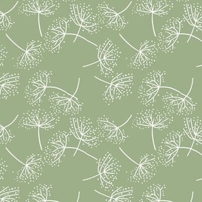 (S) Queen Anne's Lace Flowers Sage and White 
