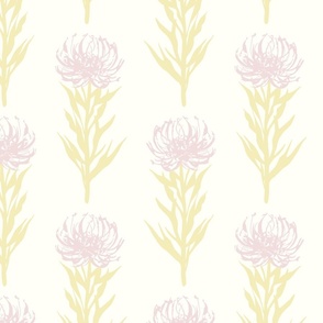 Pincushion Flower - Vanilla and Pink (Medium Scale)