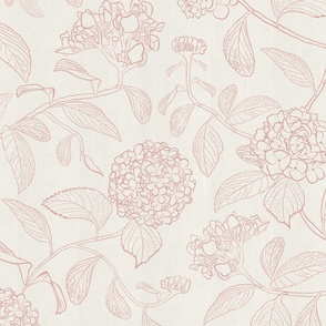 Large scale white and pink trailing floral hydrangea for feminine wallpaper and home decor.