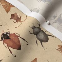 Beautiful Bugs-4x4
