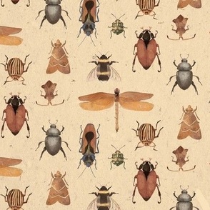 Beautiful Bugs-4x4