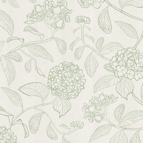 Large scale white and sage jadeite green trailing floral hydrangea for wallpaper