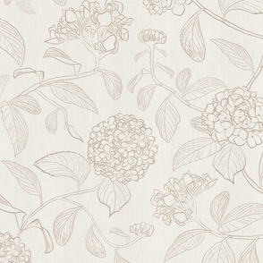 Large scale white and beige trailing floral hydrangea for neutral wallpaper and home decor