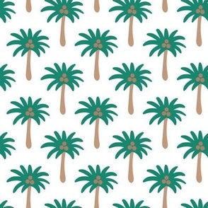 Summer palms on white background