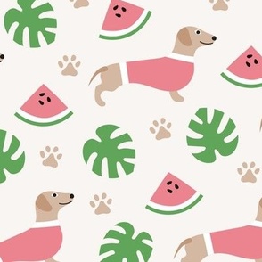 Cute pink summer dachshund