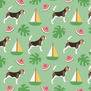 Summer beagle dogs monstera watermelon boats
