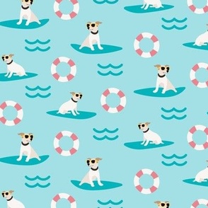 Funny summer dogs puppies surfing sea