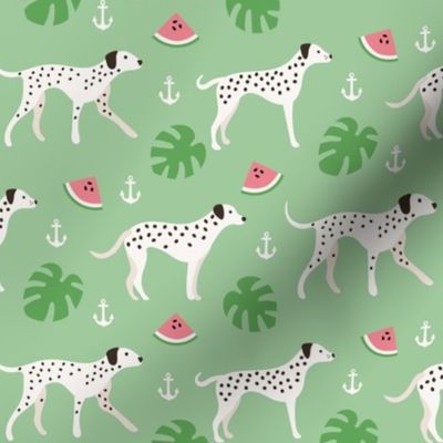 Summer dalmatian dog monstera watermelon 