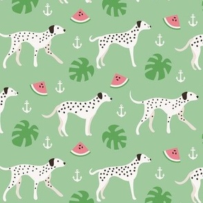 Summer dalmatian dog monstera watermelon 