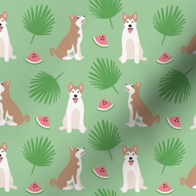 Funny summer Akita Inu tropical leaves watermelon on green