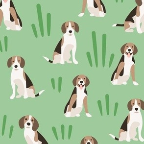 Cute smiling beagles dogs on green meadow